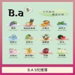 B.A 5代主機煙彈電子煙一盒三顆